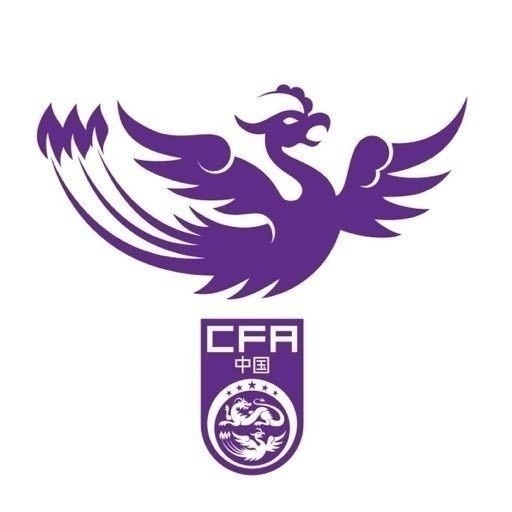  津媒：U17女足明日起兩戰(zhàn)日本定位整體實力，默契度有提升空間